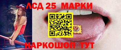 прущие грибы Кингисепп