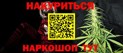 прущие грибы Кингисепп