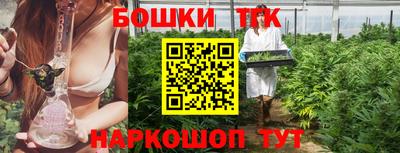прущие грибы Кингисепп