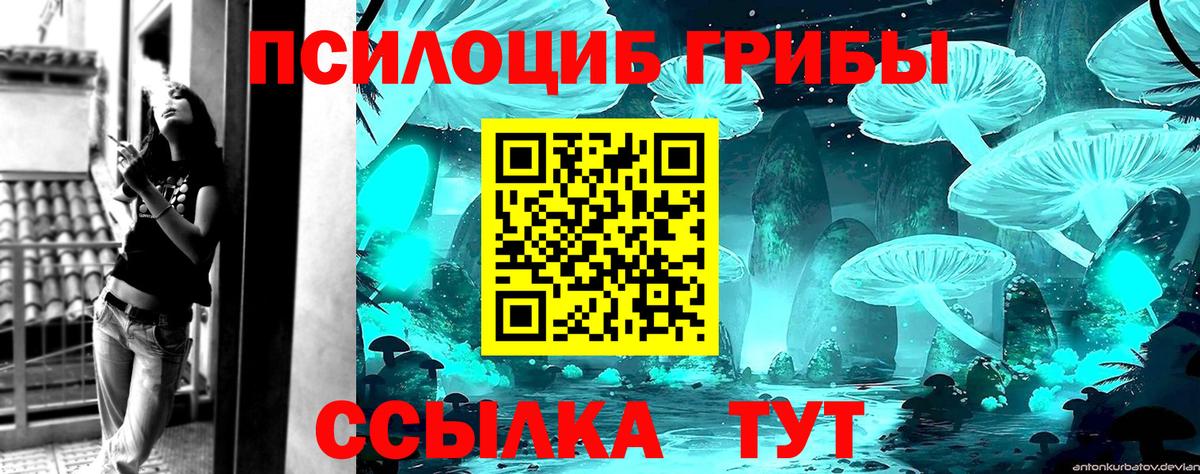 Заинск  Галлюциногенные грибы MAGIC MUSHROOMS  Галлюциногенные грибы ЛСД  Вход с VPN 