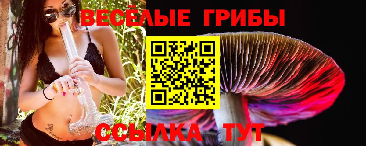 Псилоцибиновые грибы MAGIC MUSHROOMS Заинск